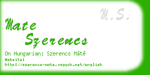 mate szerencs business card